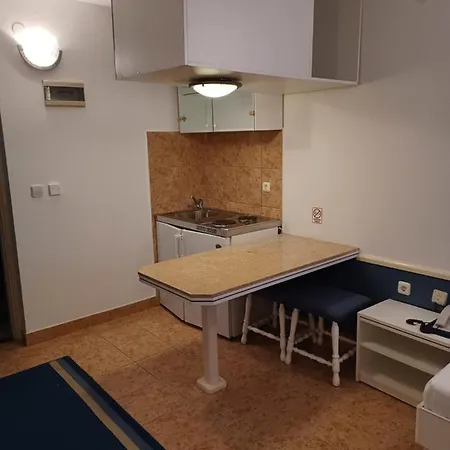 Ivan Dujmovic Dvori Hotell